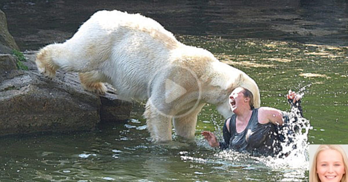 Orso Bianco Fa A Pezzi Una Donna